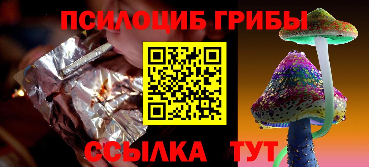 Галлюциногенные грибы Psilocybine cubensis Куйбышев